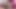 Gotik file anal emiyor ve sikişiyor