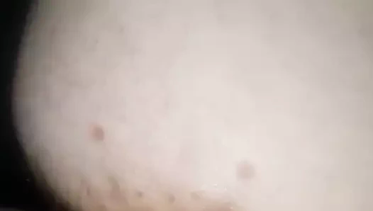 Arkadan eşek ve kedi