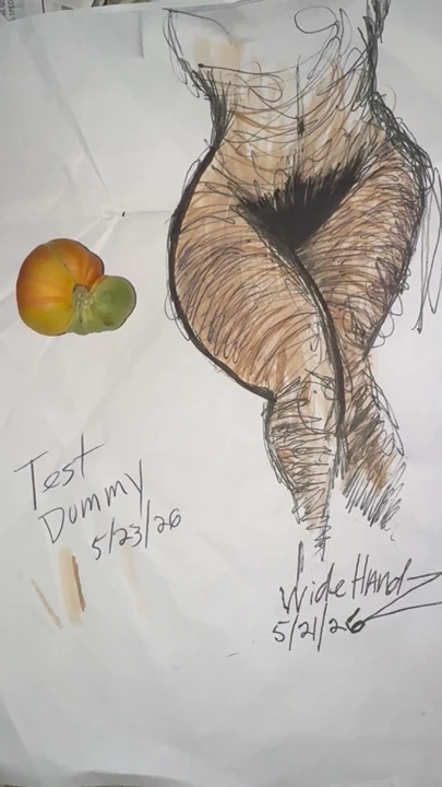 Bu bir WideHandz test mankeniydi. Bu orijinal çizimin bir kopyasıdır, birkaç renkli kalemle renklendirilmiştir.