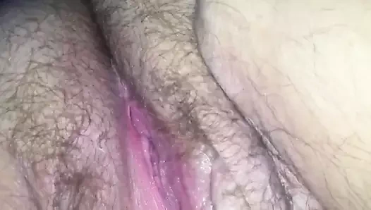 Parmak o şişman ıslak kedi