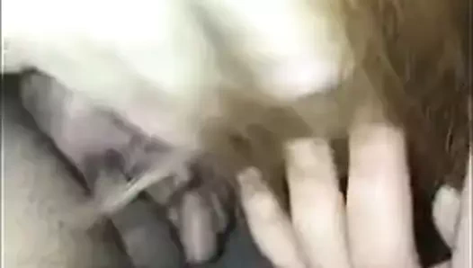 en iyi kırlangıç ​​türk