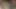 Bu güzel kızlar insanları kızdırmaktan rahatsız görünmüyor
