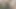 Eş büyük siyah yapay penis