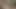 Büyük horoz dostum sikikleri onun küçük dostum