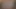 Porno legend jessie andrews üfleme ona adanmış fan travis