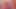 Blonde lesbians Biggi Bardot, Anikka Albrite kiss and masturbate