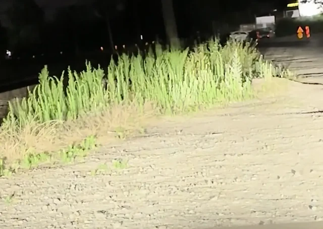 Yan yol, gece geç saatlerde