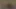 euro güzellik oynuyor KEDİ