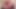 Seksi kırmızı iç çamaşırlı minyon genç kız etli amcığı ve şişmiş klitorisiyle oynuyor