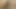 Ateşli ve seksi genç lezbiyenler birbirlerinin amını yalıyor