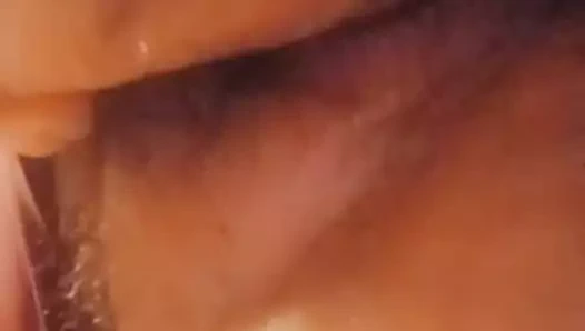 Kahrolası ve alay benim tombul kıllı kedi ile benim 9 inç oyuncak