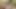 - Vahşi orkideler 2 - sapık orta yaşlı seksi kadınlar ve gençler