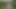 Ateşli biseksüel kızlarla açık havada oral seks ve oral boşalma