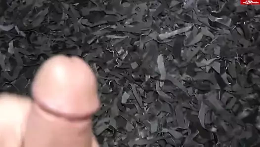 Queen Paris doppelt besamt