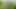 Hard roughly fucked a hot cute multiorgasmic babe in public on a corn field