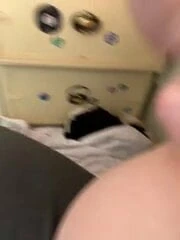 Bir makyaj fırçası ile baştankara alay ve nüfuz