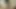 Yazlık elbiseli seksi Japon genç erkek avcısı