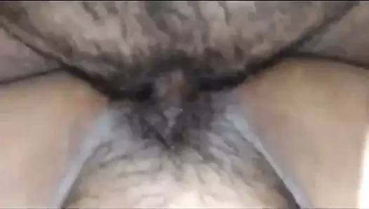 Güzel kedi almak becerdin