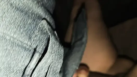 Hintli genç kız domaltarak sikiliyor