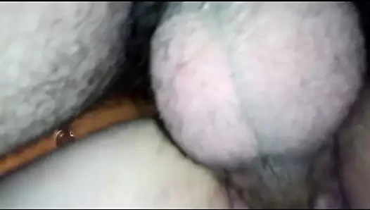 Uraeus bir aslan kız sikmek