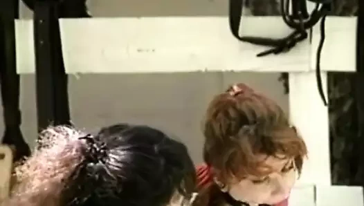 midilli kız 01 1993 içinde koşum bölüm 1 aşağılama