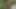 Iphone Almak Sıcak Seksle Sonuçlandı