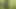 Efsane akademi: Demigods ve goblinler-ep13