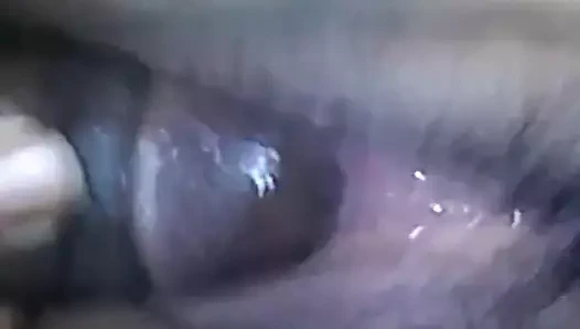 Bbc derin içinde ıslak kedi