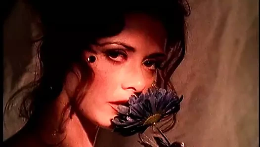 Mavi yıldız çiçeği için römork