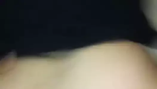 Bbc sikme İspanya kedi