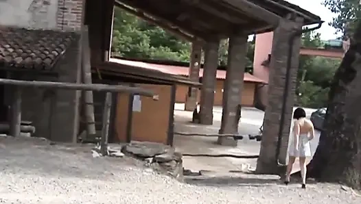 Ahırda Bir Eş Ve Arkadaş Yetiştirin