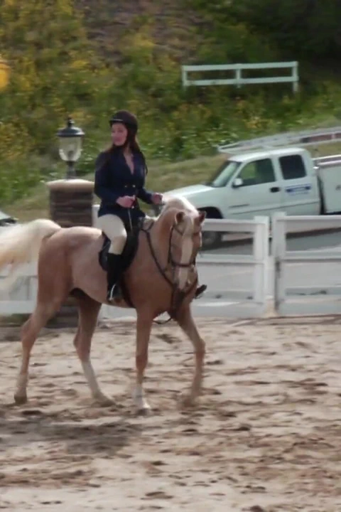 İki güzel genç kız ahırda