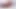 Porkvendors - Nikki Sexx işleri ısıtmadan önce Tim von Swine'i azdırıyor