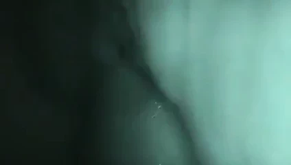 o evli abanoz Bölüm 1