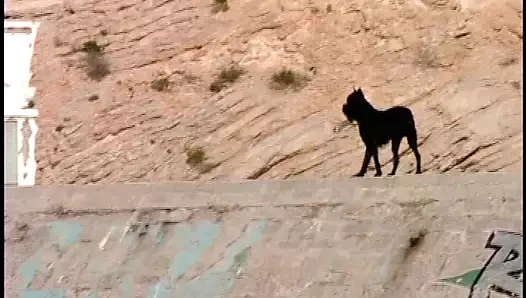 bağbozumu retro alman amatör senin günlük doz bu porno