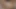 Tushy - kız arkadaşlar Alex Grey ve Karla Kush birlikte anal seks yapıyor