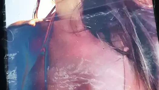 Pampita (cum haraç)