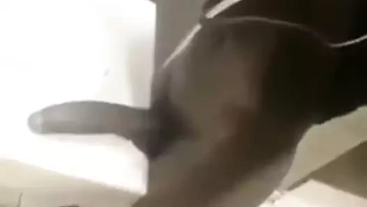 Küçük balon ganimet, uzun yılan