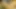 Seksi esmer istekli bir şekilde mastürbasyon yaparken amını gösteriyor