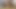 İşe gidecekti ama ondan önce amıyla oynadı