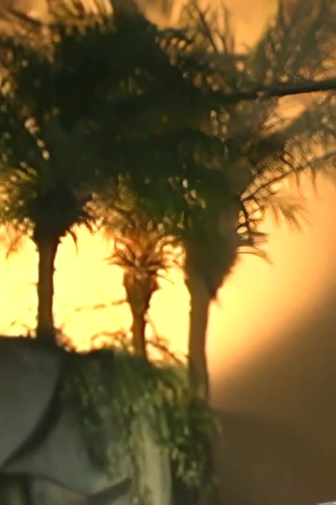 Klasik egzotik lezbiyen birbirini parmaklıyor