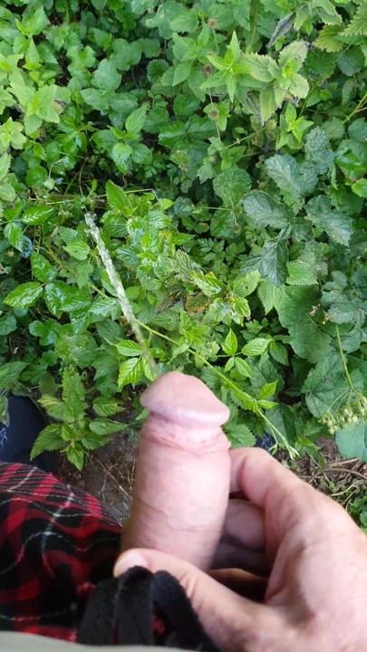 Tarlada işiyor