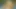 Olgun çift dildo oynuyor amcık sikiyor 69 pozisyonunda amcık yalıyor