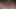 Seks kameraları için bir oyuncakla kedi