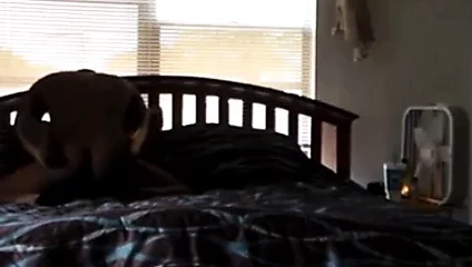 karısı ve siyah arkadaşım