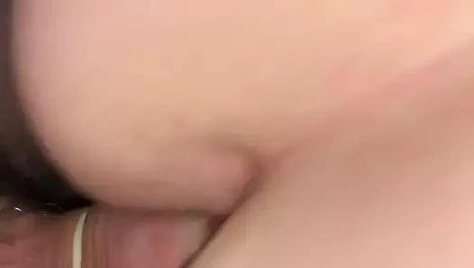 traş fahişeler KEDİ köpek stili