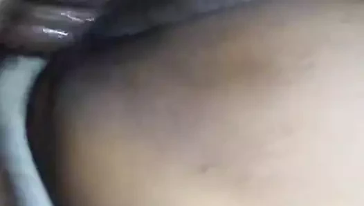 Dalış için inanılmaz derecede iyi kedi yayıldı