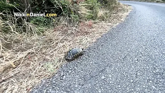 Seksi bir kızla ateşli randevu vahşi araba kaputunda seksle sona erdi