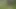 xH-Blasn und ficken im Wald