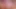 XXL Dildo ANAL and PUSSy action! Big tit BBW Teen gone Wild